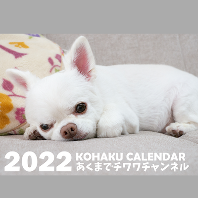 コハク壁掛けカレンダー2022