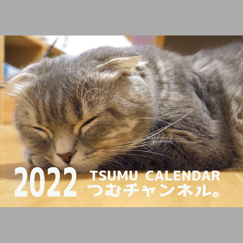 壁掛けカレンダー2022